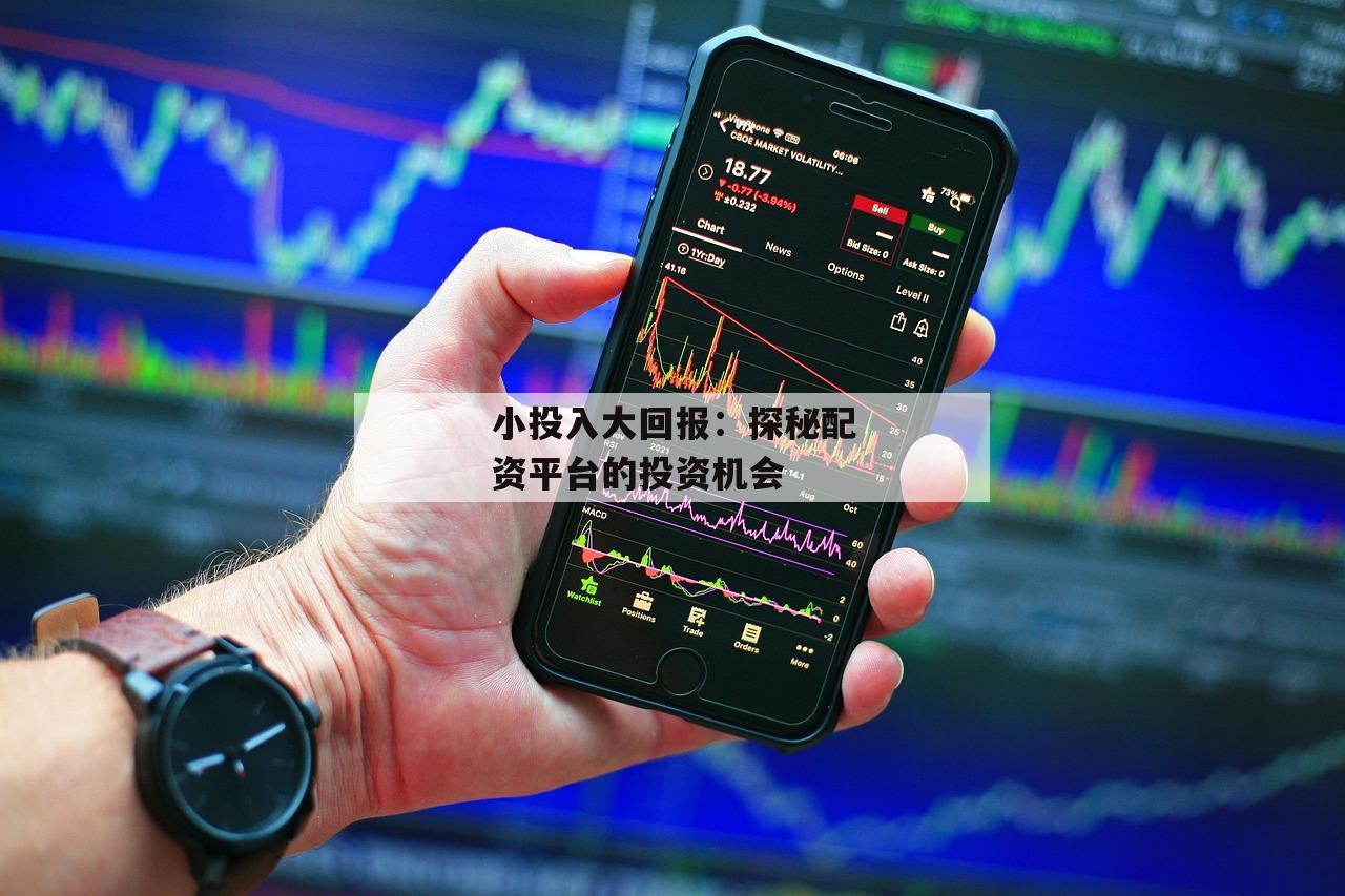 小投入大回报：探秘配资平台的投资机会