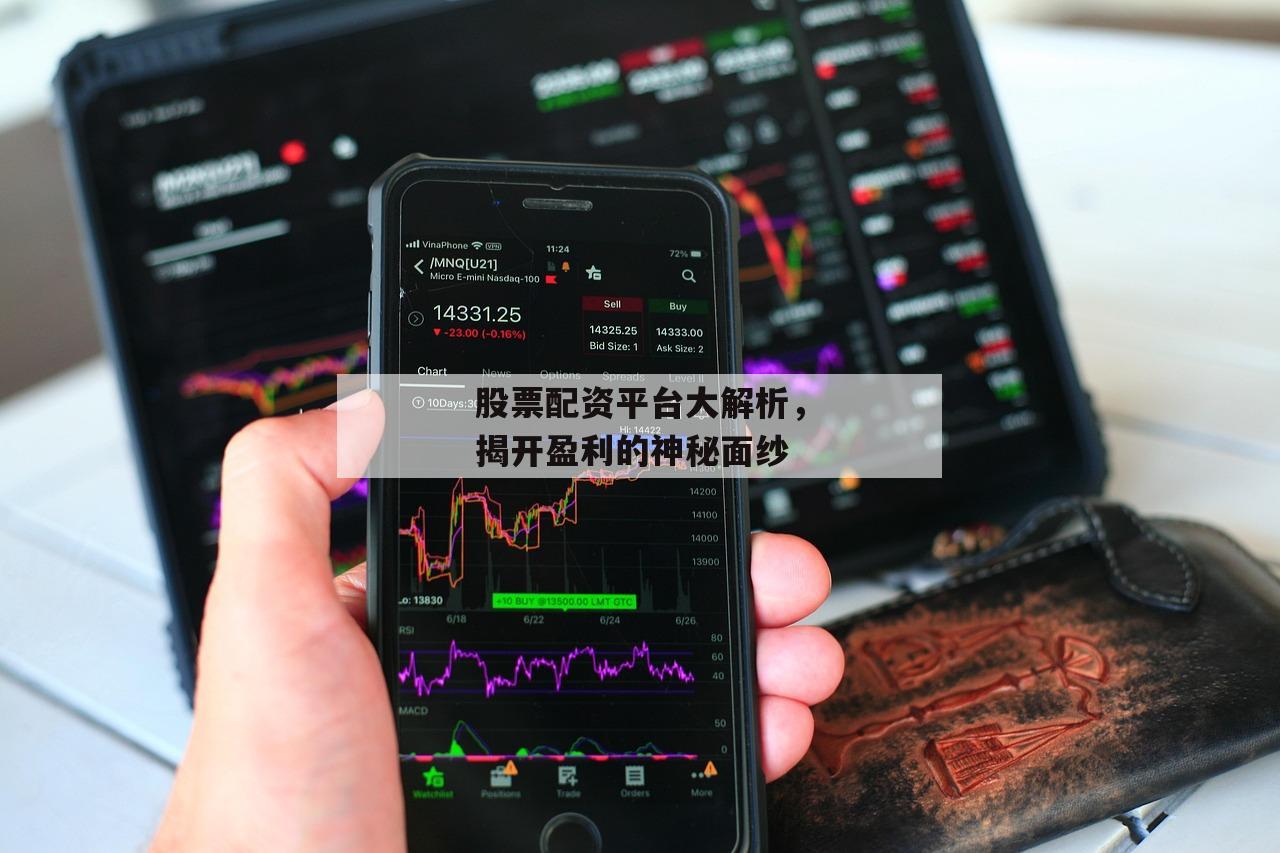 股票配资平台大解析，揭开盈利的神秘面纱