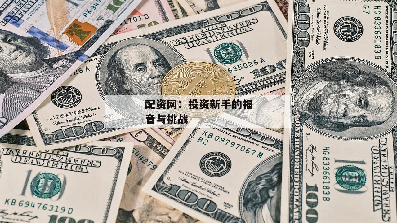 配资网：投资新手的福音与挑战
